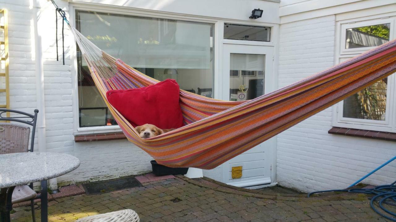 In De Stad, En Rustig Als Op Het Platteland Middelburg Exterior foto